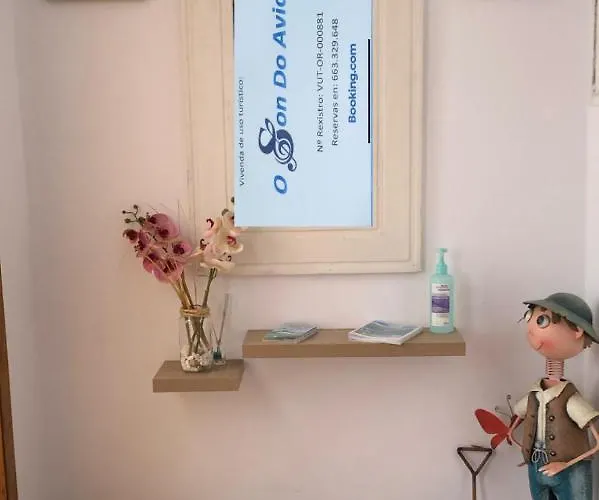 Appartamento O Son Do Avia Ribadavia